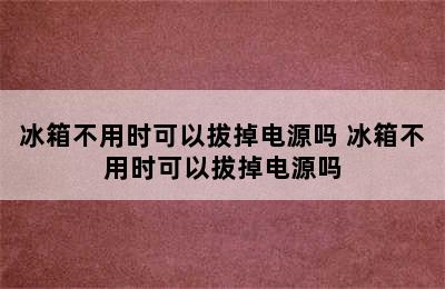 冰箱不用时可以拔掉电源吗 冰箱不用时可以拔掉电源吗